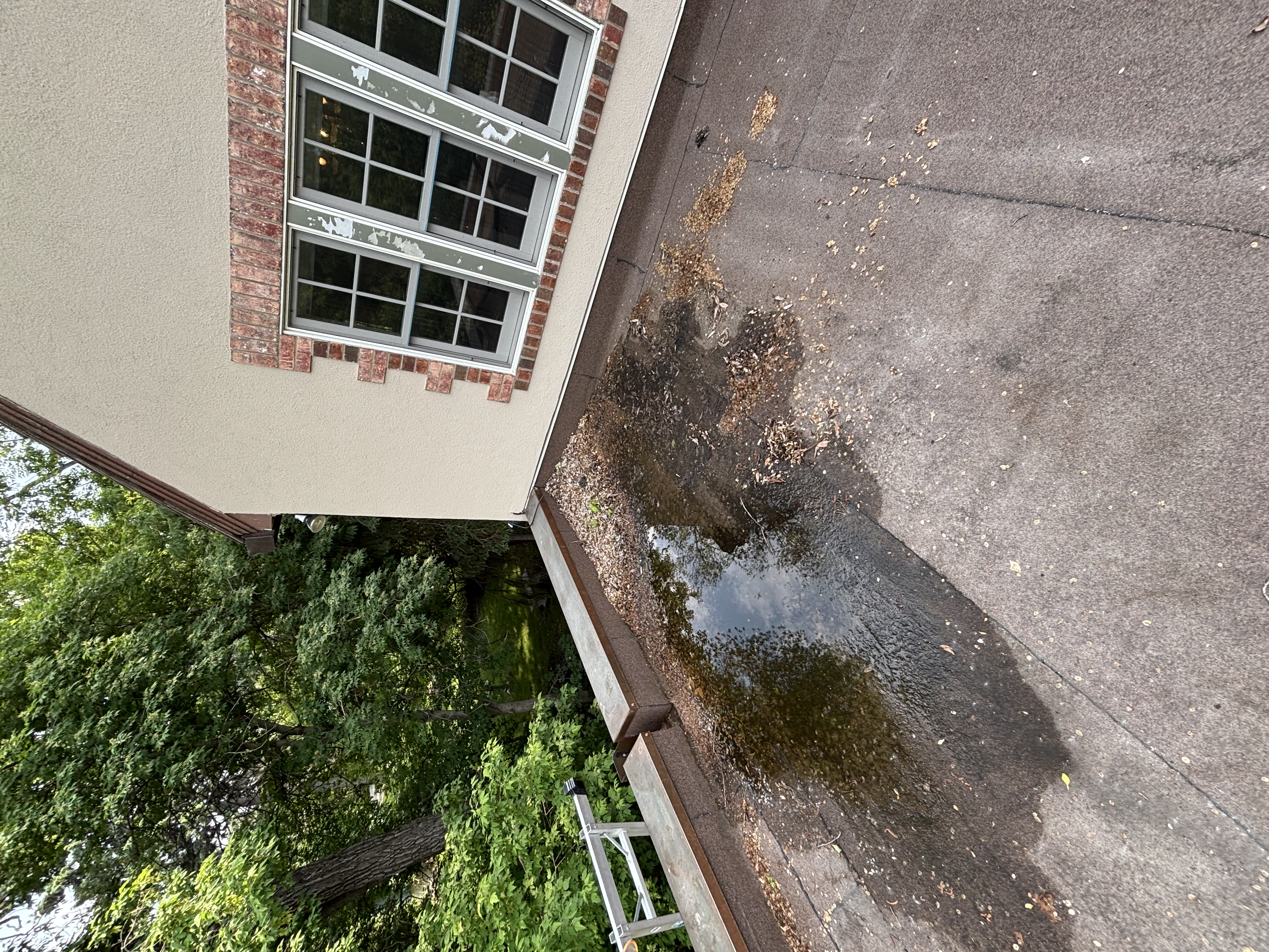 Oceanfront railing after detailing